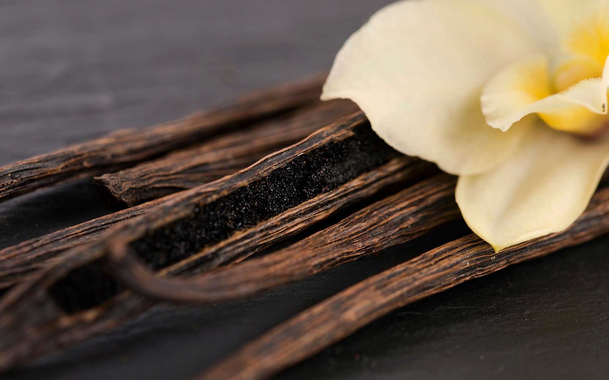 vanilla